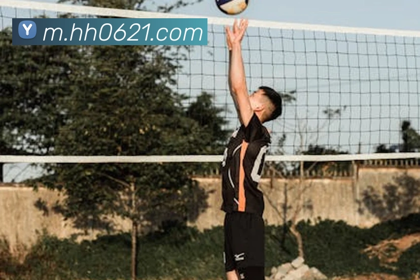 火狐体育官网首页平台生态图